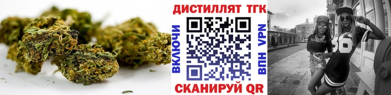 купить   Губкин  ТГК концентрат 
