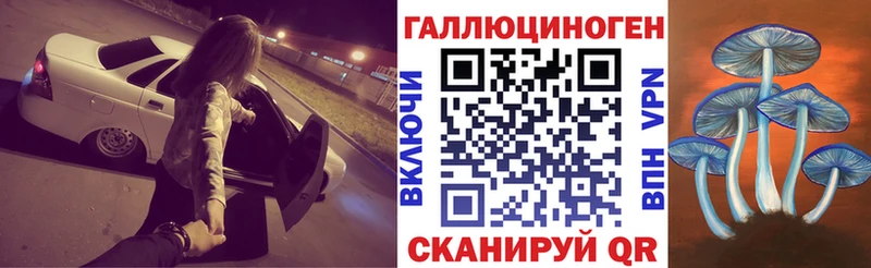 Псилоцибиновые грибы Psilocybe Губкин